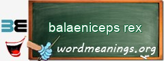 WordMeaning blackboard for balaeniceps rex